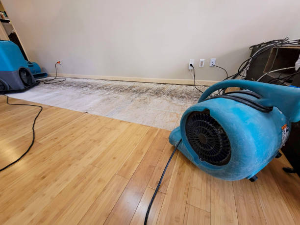 Professional Water Damage Repair technician working in Duncombe, IA